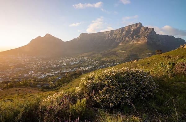 Haver Cape Town