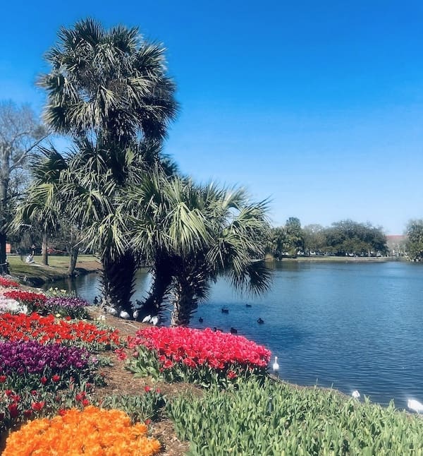New Orleans bypark