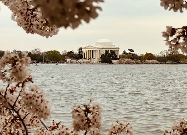 Tidevandsbassinet Washington DC